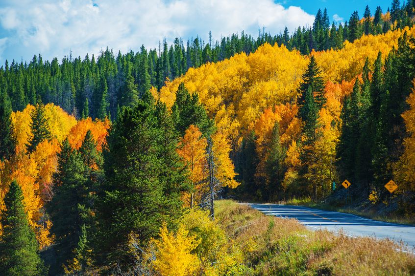 Great places to see the fall leaves in Colorado