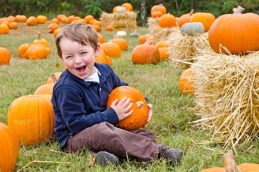 Visiting Colorado During the Holidays – How to Have a Fun and Safe Halloween in Colorado